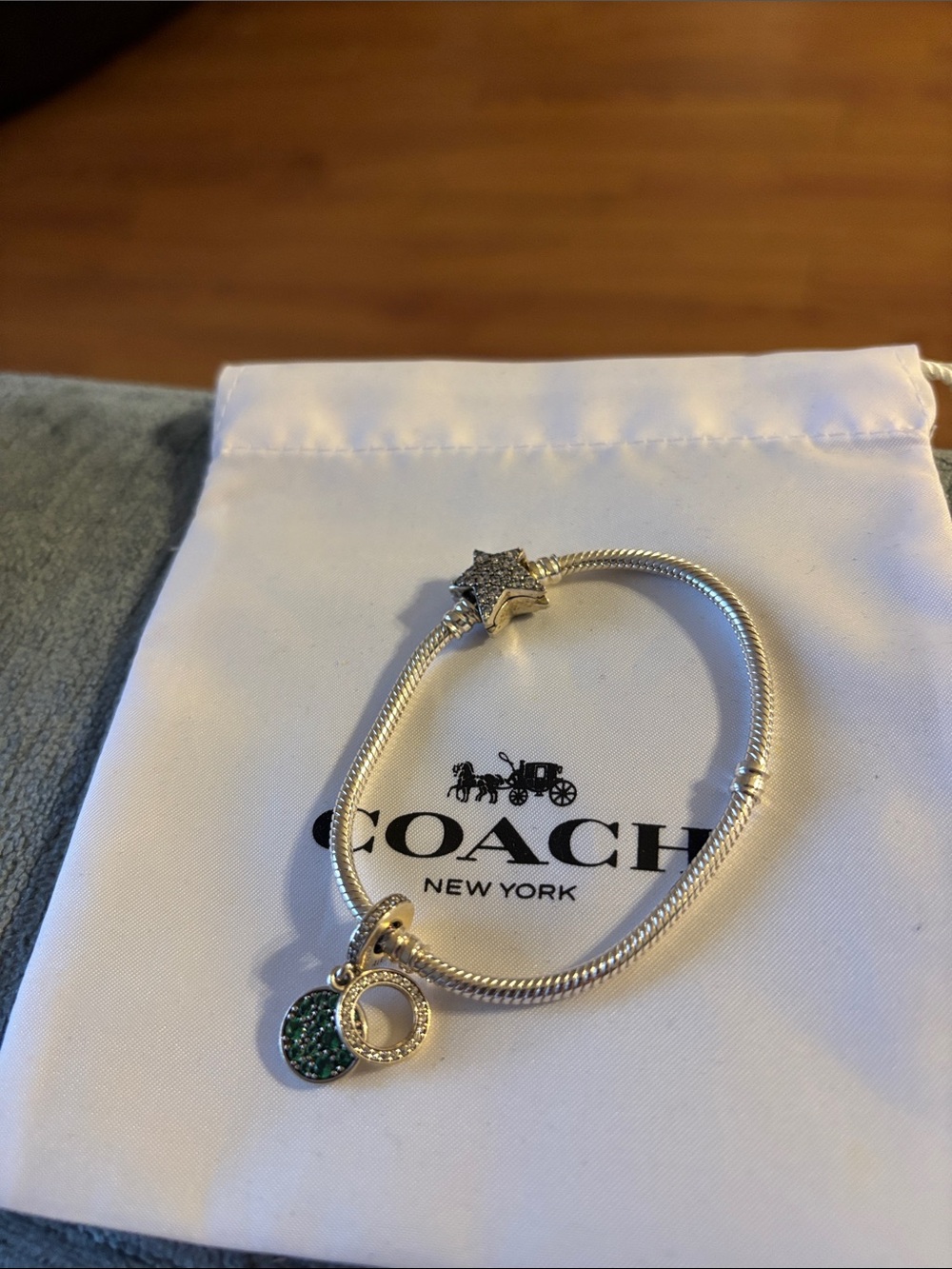 Pandora Silver Bracelet with Green Pavé Circle Charm
